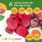  Mận hậu Mộc Châu Punhi 