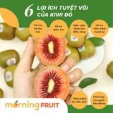  Kiwi đỏ New Zealand 
