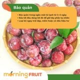  Mận hậu Mộc Châu Punhi 
