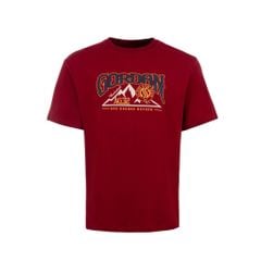Áo T-shirt 361º Nam W552611101-4C