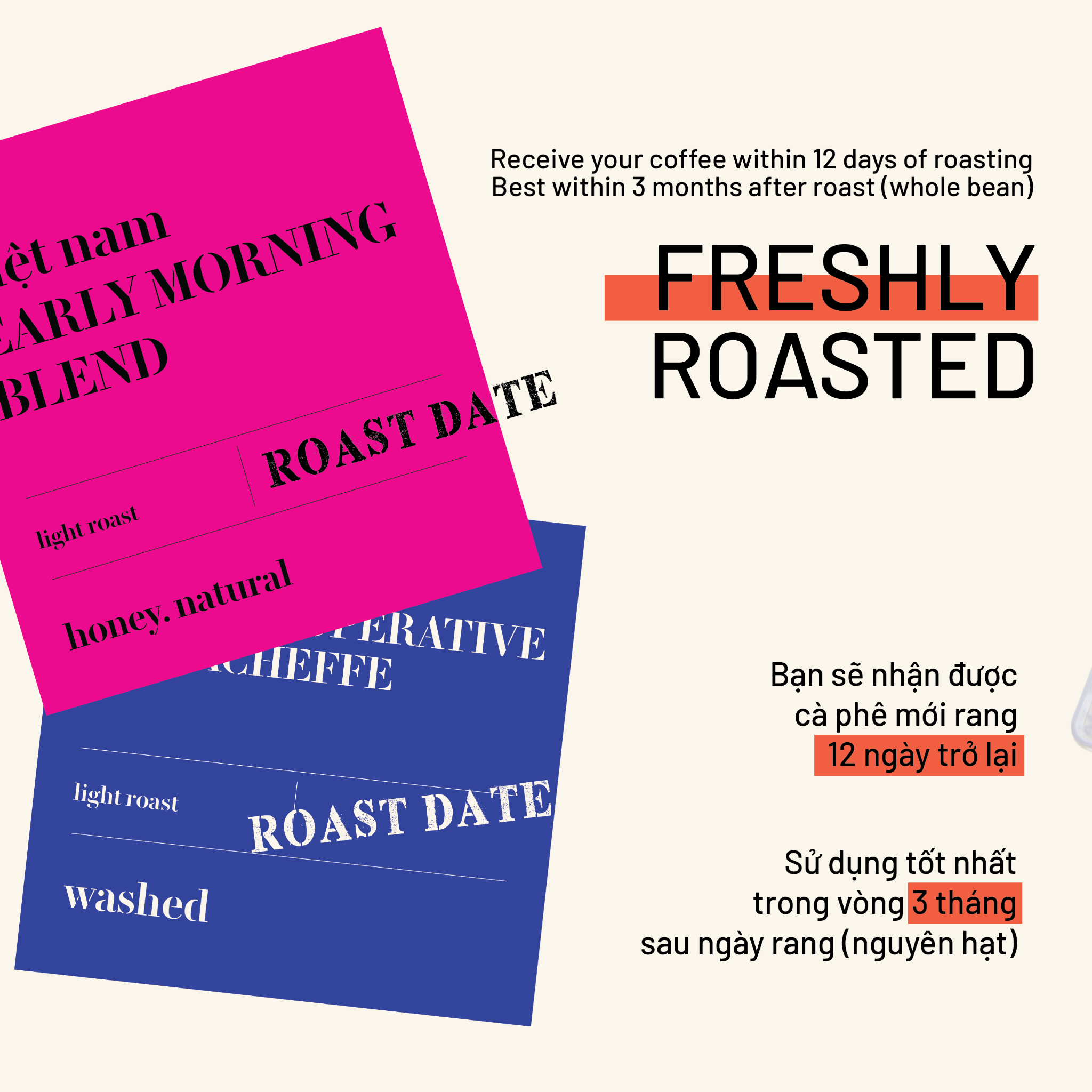  LỘC RỪNG DUNG K'NO BAY LEAF COFERMENT (200g) 