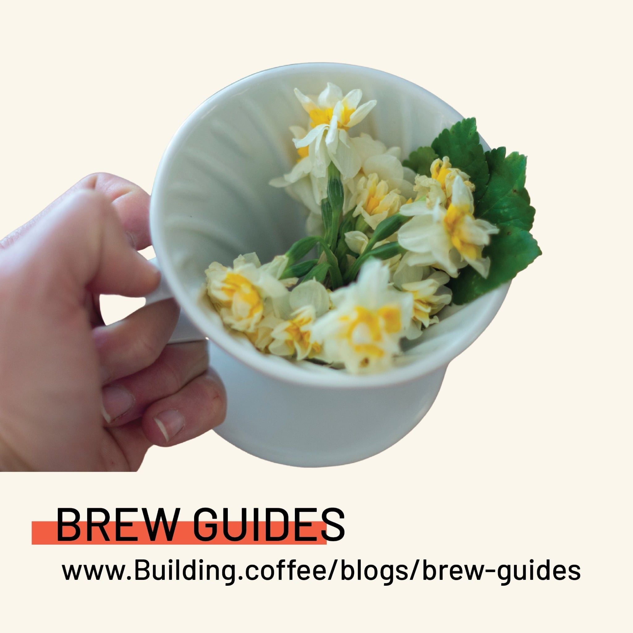  LỘC RỪNG DUNG K'NO BAY LEAF COFERMENT (200g) 