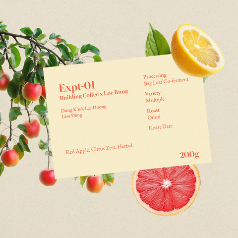  LỘC RỪNG DUNG K'NO BAY LEAF COFERMENT (200g) 