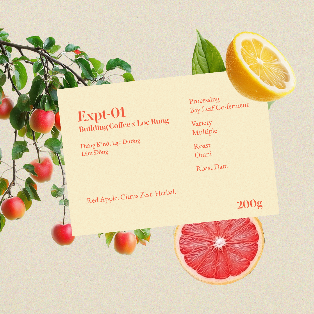  LỘC RỪNG DUNG K'NO BAY LEAF COFERMENT (200g) 