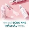 Combo chống lão hóa, giảm nếp nhăn, da sáng mịn màng Placentor Vegetal