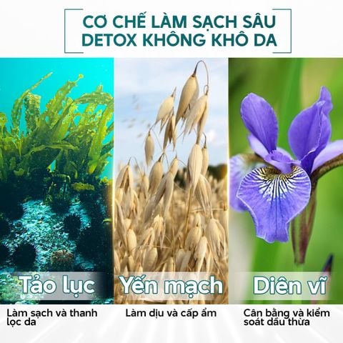  Gel Rửa Mặt Placentor Vegetal Gel Nettoyant Cleansing Gel 50ML 