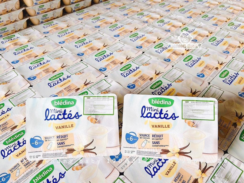 Sữa chua Bledina Pháp