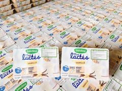 Sữa chua Bledina Pháp