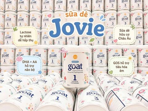 Sữa dê công thức Jovie Goat Organic 800g