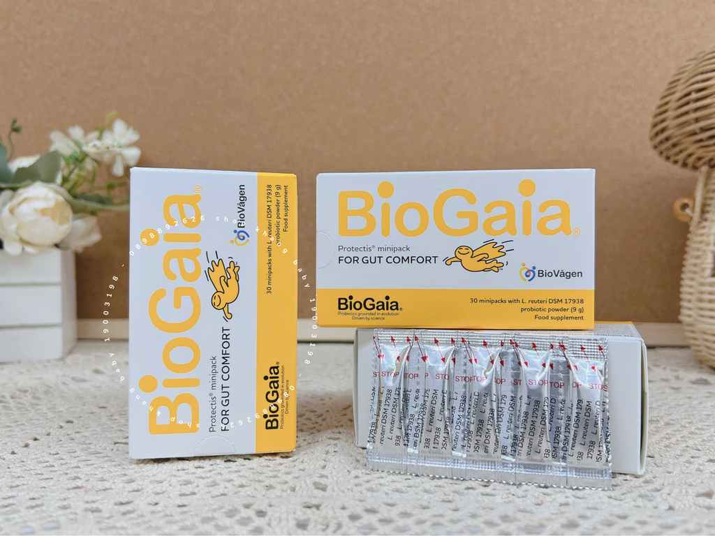 Men vi sinh Biogaia dạng bột