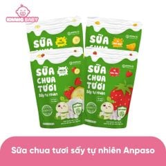Sữa chua tươi sấy tự nhiên Anpaso