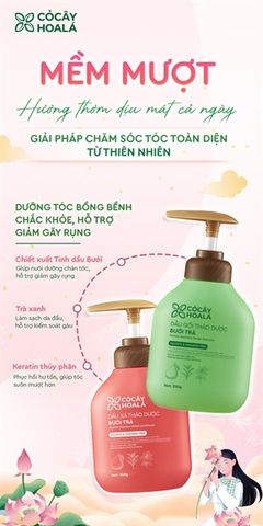 Combo dầu gội xả thảo dược Bưởi Trà Cỏ cây hoa lá 350gr