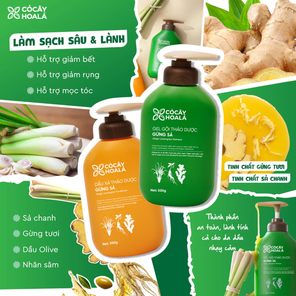 Dầu gội, xả thảo dược Gừng Sả Cỏ cây hoa lá 500g