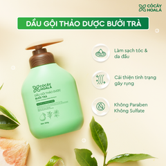 Dầu gội & xả thảo dược Bưởi Trà Cỏ cây hoa lá 350gr