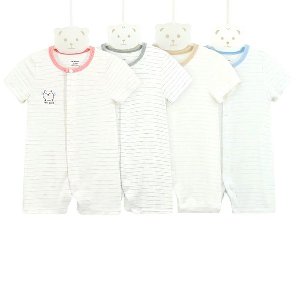 Bộ body Dokma
