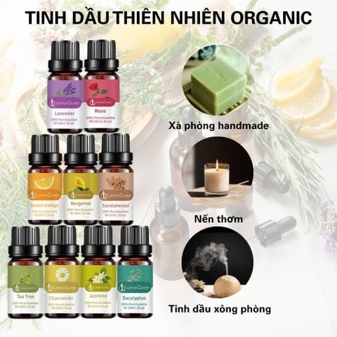  Tinh Dầu Nguyên Chất Pha Nến Thơm, Xà Phòng, Tinh Dầu Dùng Cho Máy Xông Phòng 