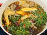  Cây ngải cứu 026 