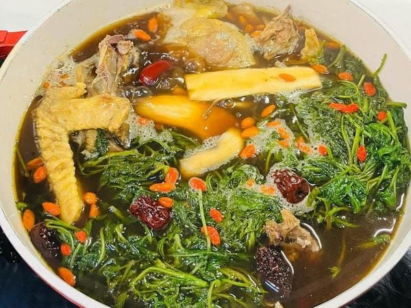  Cây ngải cứu 026 
