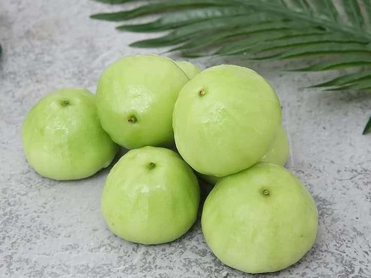  Mận xanh đường 