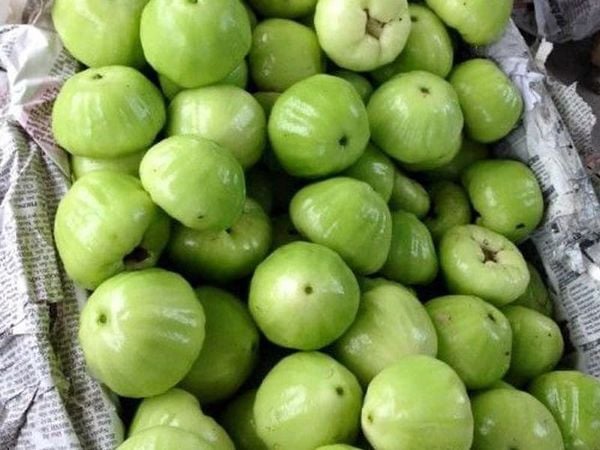  Mận xanh đường 