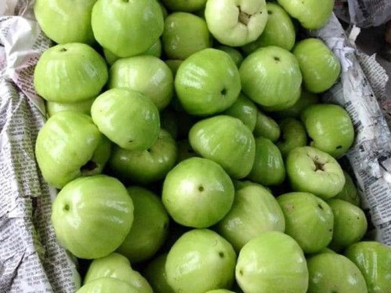  Mận xanh đường 