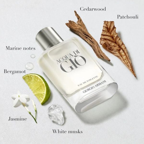 NƯỚC HOA GIÒ ARMANI DI GIO EAU DE TOILLETTE 100ML