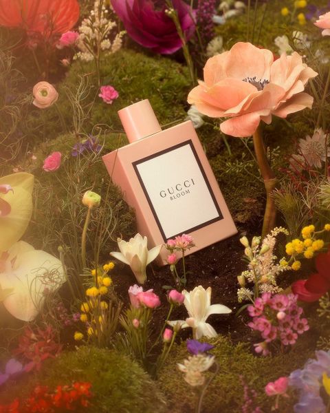 NƯỚC HOA NỮ GUCCI BLOOM FOR WOMEN EDP