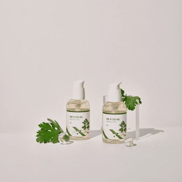 TINH CHẤT ROUND LAB MUGWORT CALMING SERUM 50ML