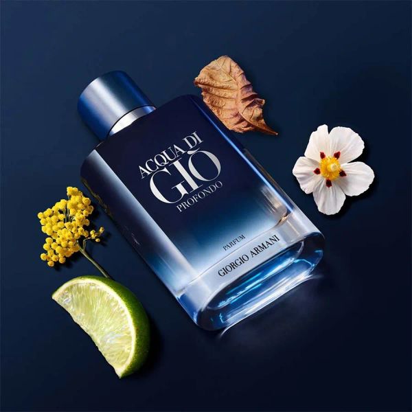 NƯỚC HOA GIÒ ARMANI ACQUA DI GIO PROFONDO PARFUM 100ML