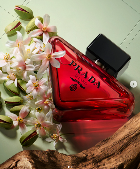 NƯỚC HOA PRADA PARADOXE RADICAL ESSENCE PARFUM 90ML (PRA-LF209600)