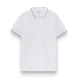 Polo LC Viền Cổ - Bộ 5 màu - Trắng 