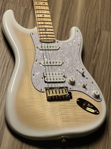  Guitar điện Sqoe SEST900 NA 