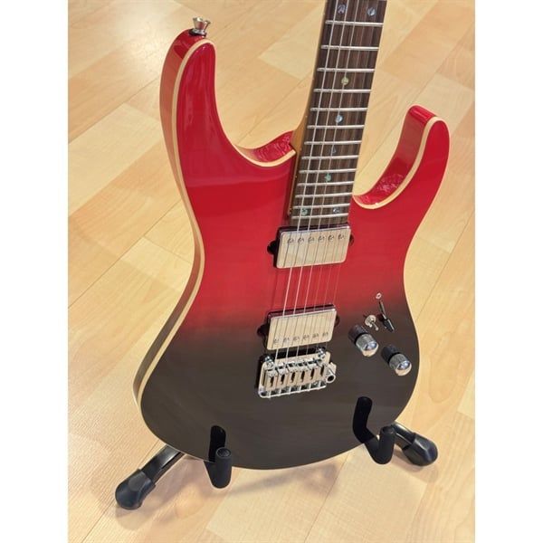  Guitar Điện Sqoe SEIB500 RDS 