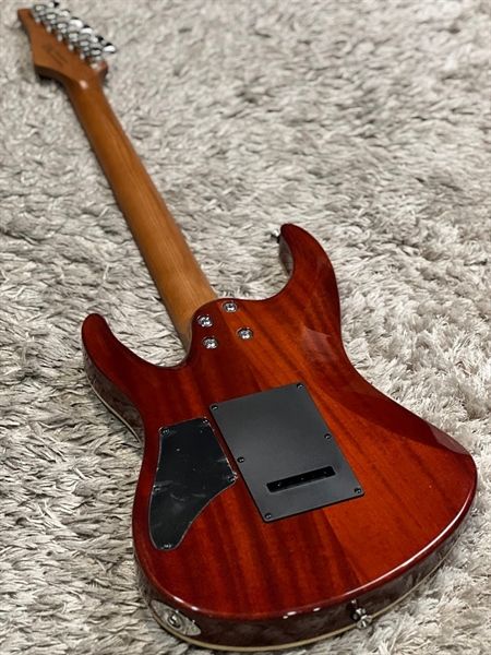  Guitar điện Sqoe SEIB999 N 