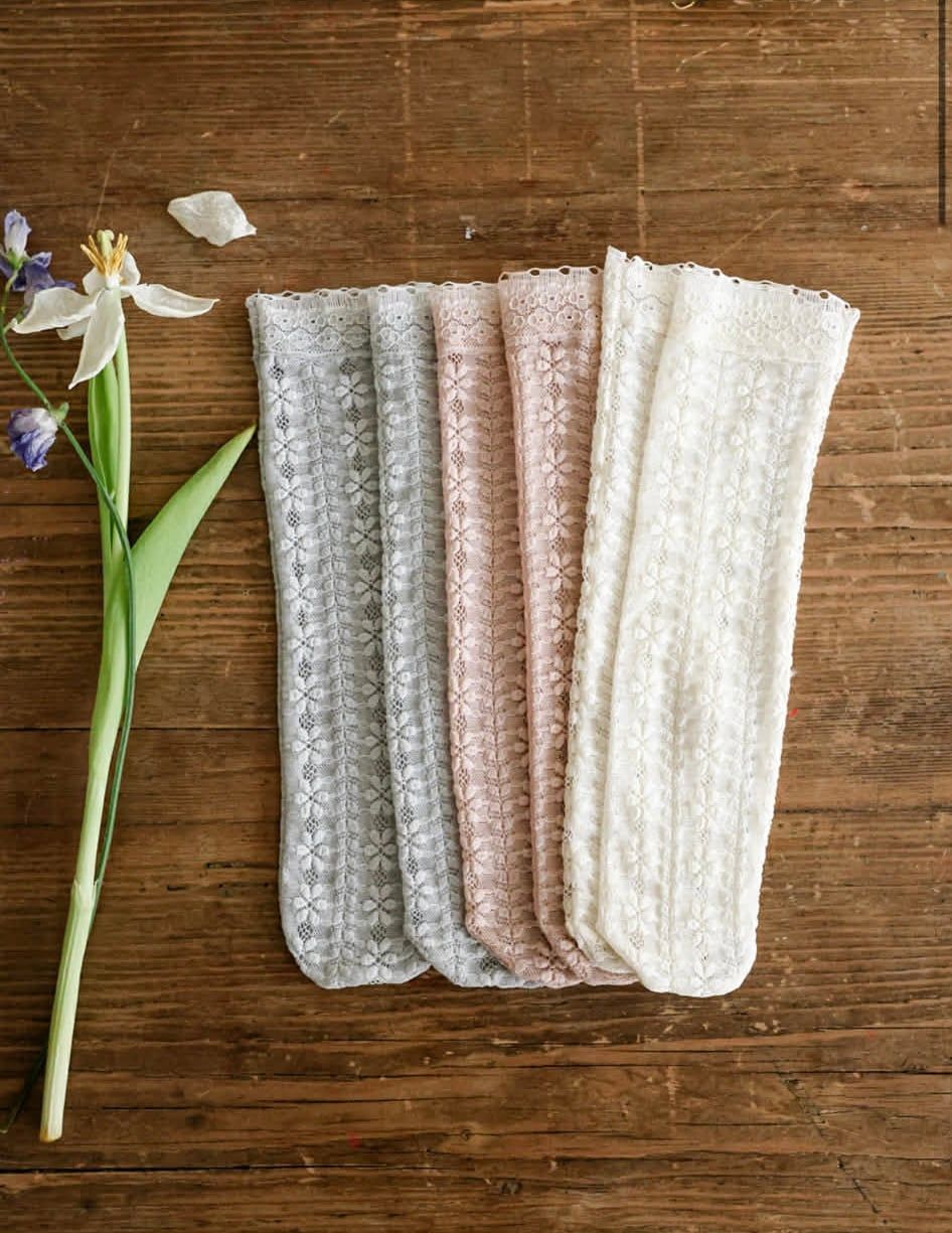 FL - Tất ren Cindy