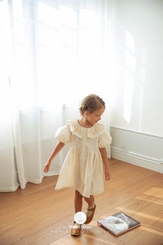 NN - 0126  Váy Jane cổ xòe thêu hoa