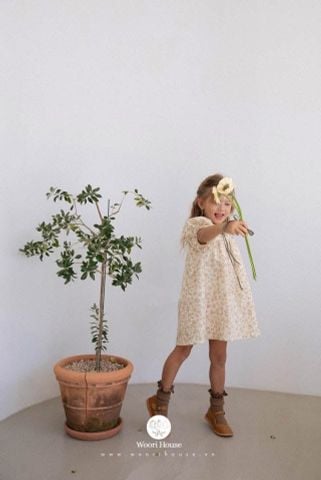 NN - SUM0226 Váy Rose hoa nhí cổ sen thêu