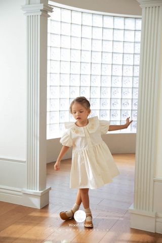 NN - 0126  Váy Jane cổ xòe thêu hoa