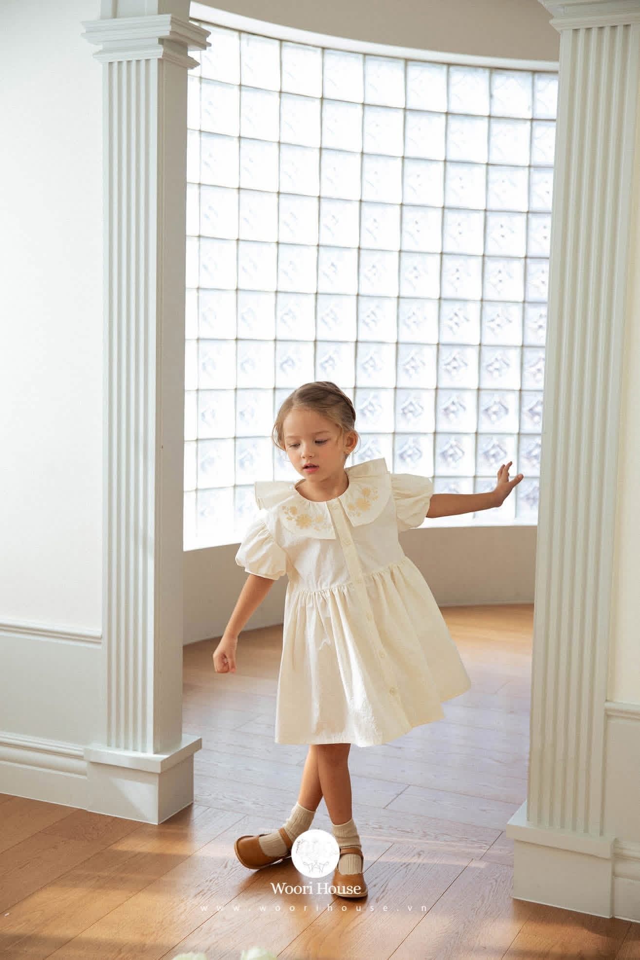 NN - 0126  Váy Jane cổ xòe thêu hoa