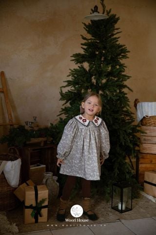 NN - Váy Jaja hoa nhí cổ thêu