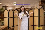  BÌNH PHONG VÁCH NGĂN M004G 