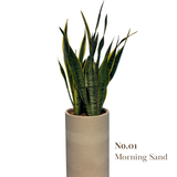  [BOTANICA Exclusive] Bộ Sưu Tập Độc Quyền BOTANICA 