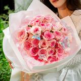  Cánh Bướm Hồng 