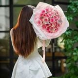  Cánh Bướm Hồng 