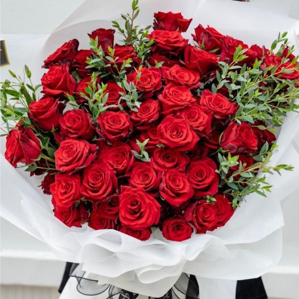  Sắc Đỏ Quyền Quý 