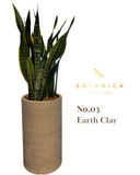  輸出専用プレミアムプランター + サンスベリアセット 