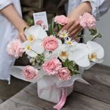  Grace Garden – Màu hồng 