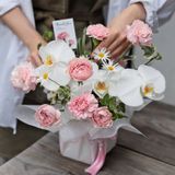  Grace Garden – Pink 
