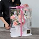  Grace Garden – Màu hồng 