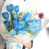  Sắc Lam Nhẹ Nhàng 